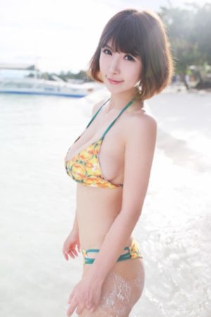 白百何演过的电视剧